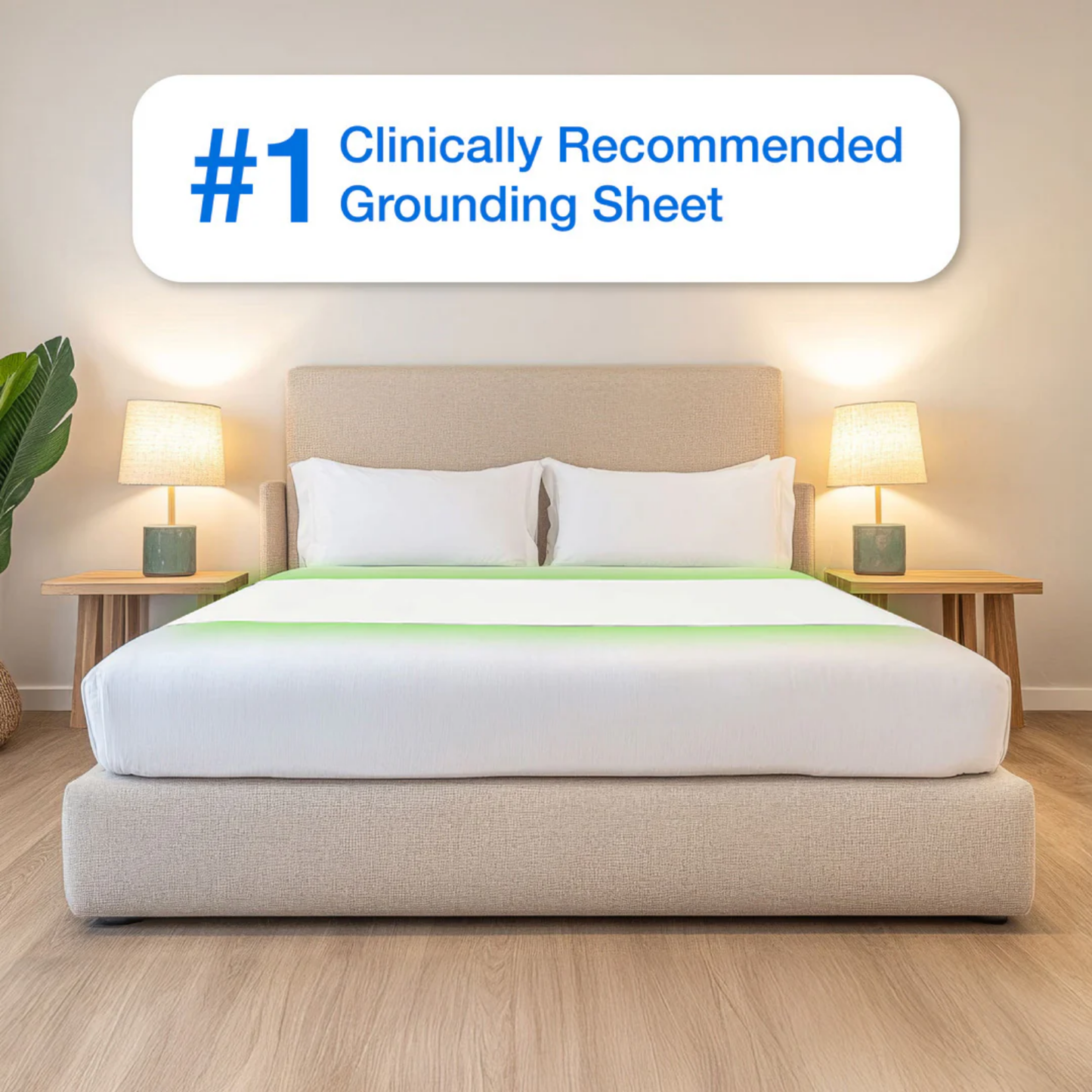 Earth Haven Grounding Sheets